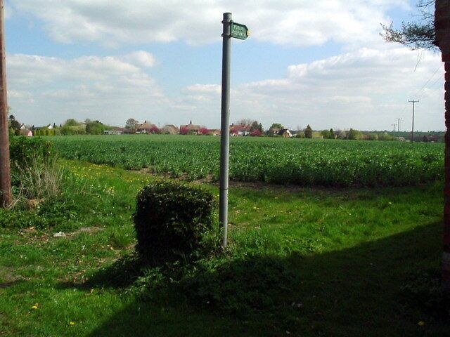 Crop of beans Footpath runs alongside