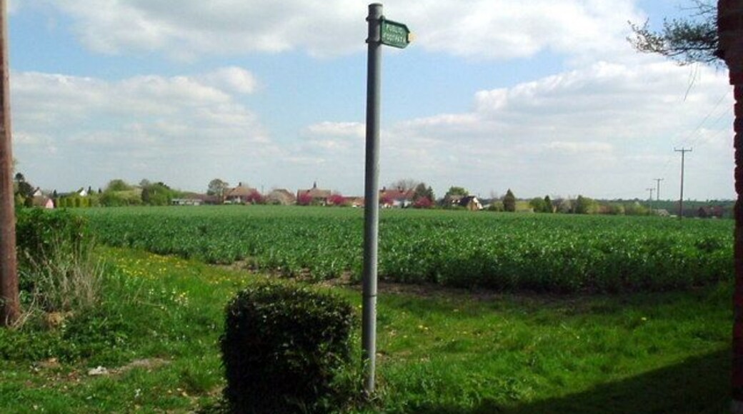 Crop of beans Footpath runs alongside
