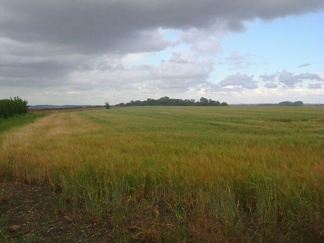 Looking northeast near Little Staughton