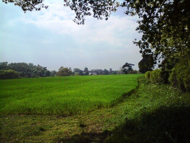 Farmland near Orwell Park School Looking west from Levington Road, Nacton. Orwell Park is visible in the distance.