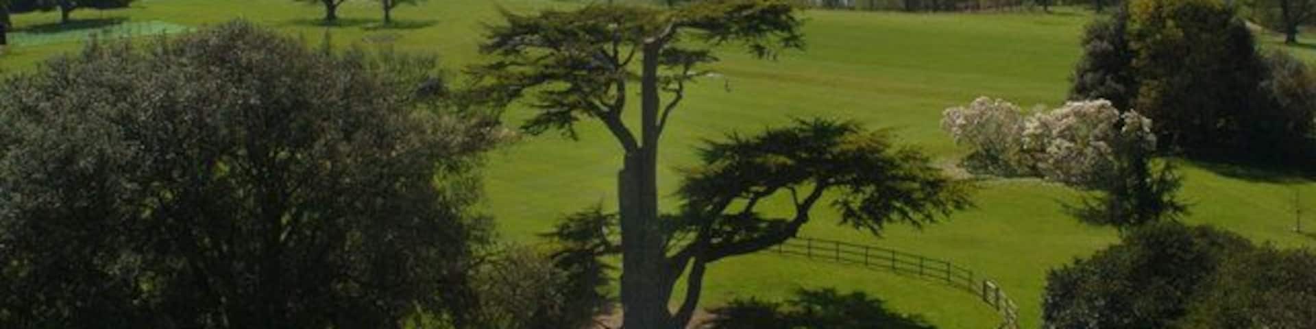 Playing fields and Orwell River. View from the roof of the Orwell Park School water tower