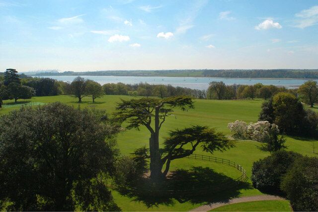 A golf course with a large tree, a path, and a lake in the background.