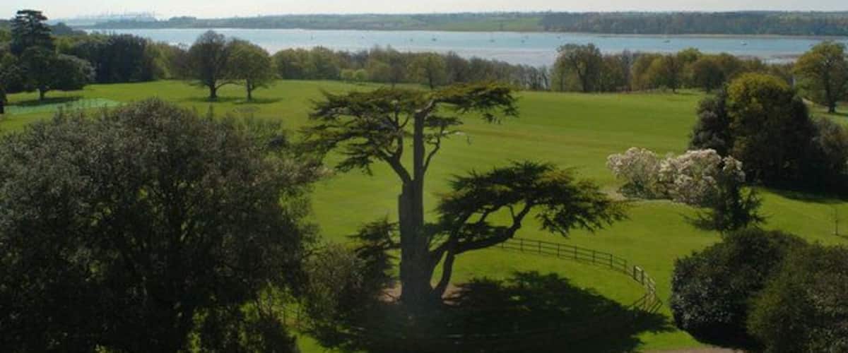 A golf course with a large tree, a path, and a lake in the background.