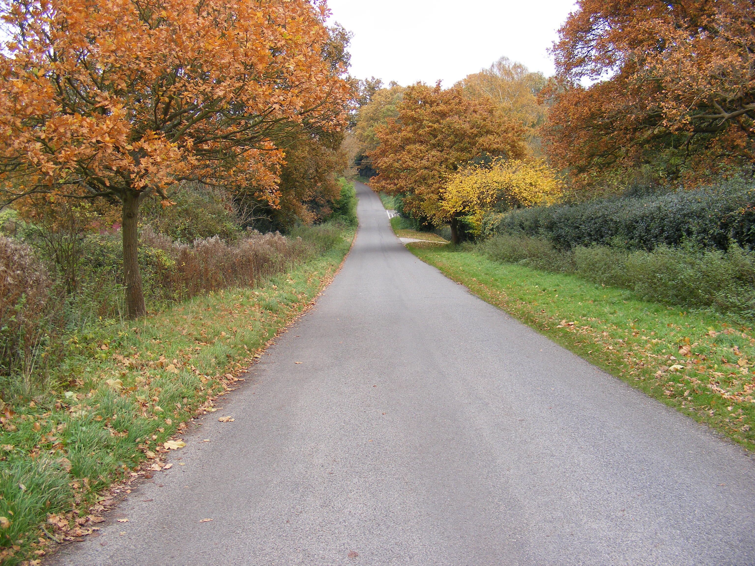 Road to Orwell Park School