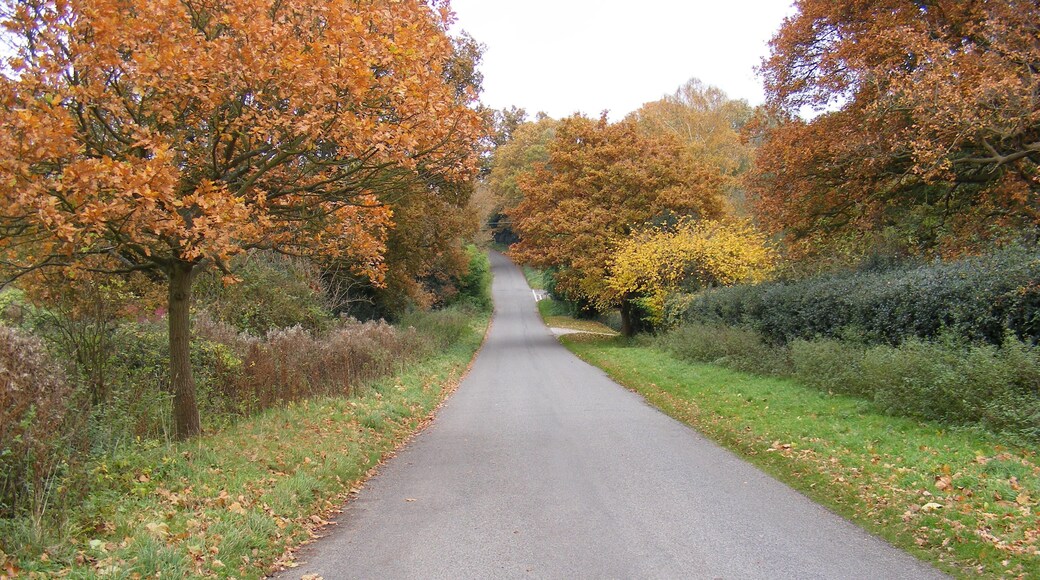 Road to Orwell Park School