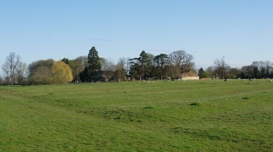 Ridge and furrow These ridges were created by ploughing patterns in the Middle Ages. Since then the area has been grazed and not ploughed, preserving the relief. Few such areas are left in this predominantly arable area.