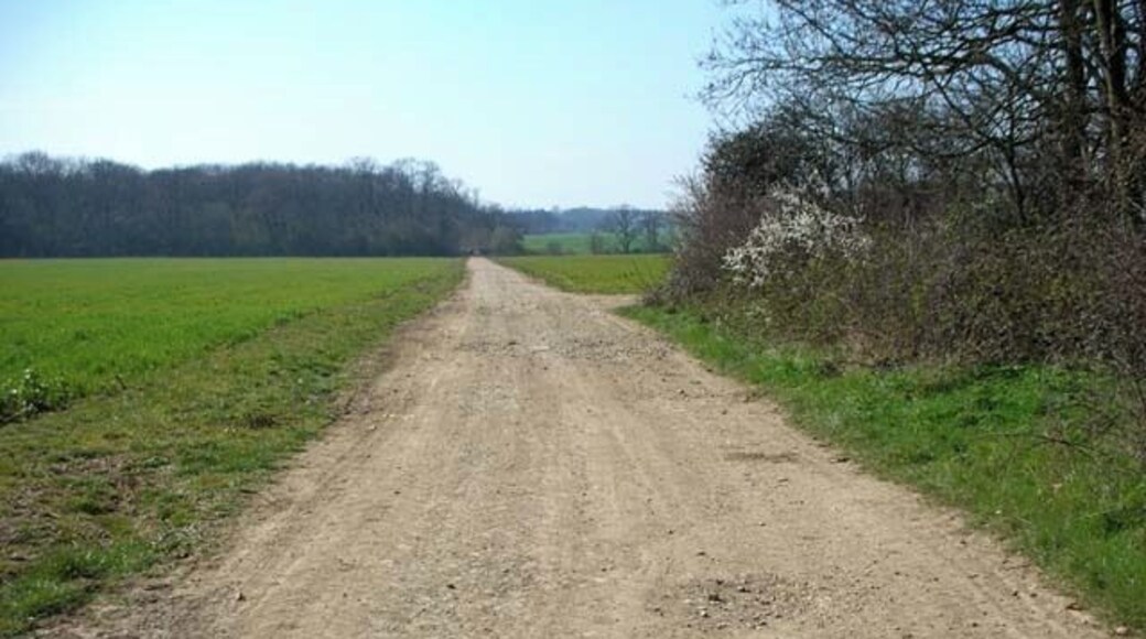 The Three Shires Way leaves Podington Airfield Forty Acre Wood is seen in the background.