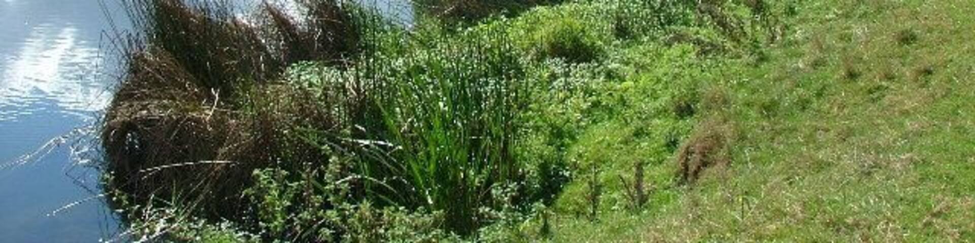 The Great Ouse near Harold. you can see the spire to St Nicholas's Church