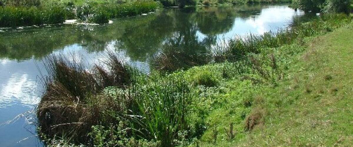 A calm river with lush greenery and trees reflecting in the water.