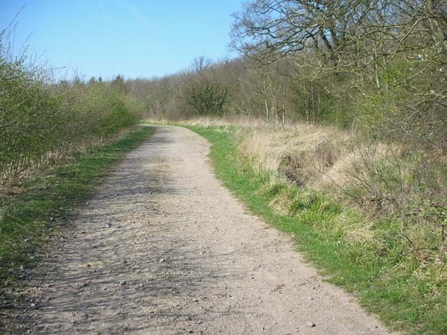 Bridleway and Barwick Wood On the Colworth estate