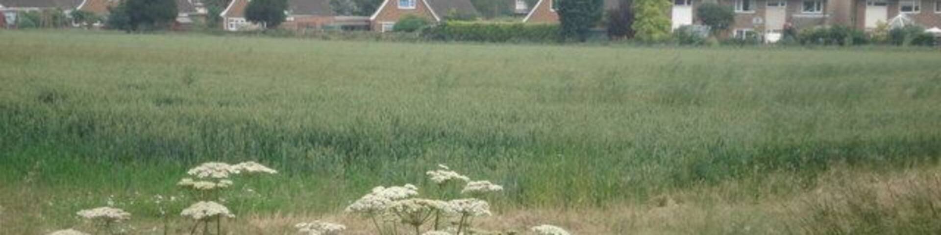 Houses and farmland on the edge of Offord D'Arcy