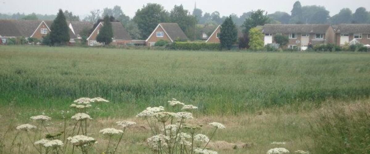 A rural landscape with houses, a field, and wildflowers.