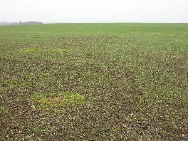 Uncluttered Landscape. Looking north west from a footpath