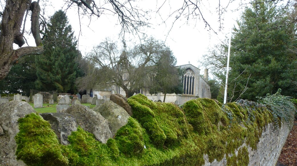 Moss on the churchyard wall, Peakirk
