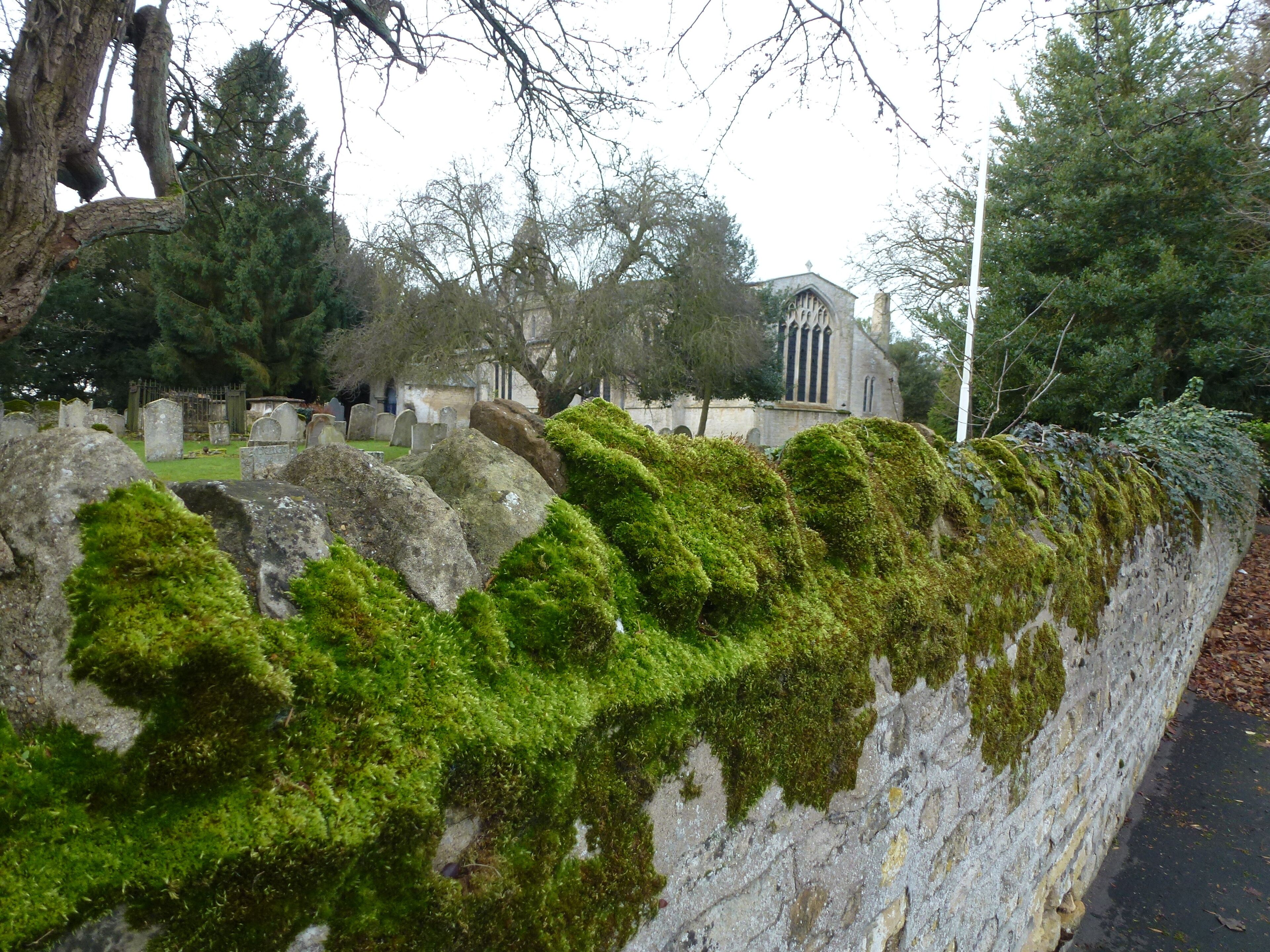 A cemetery with moss-covered stone walls and gravestones.