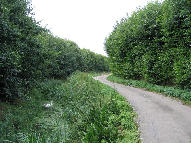 Blue Gowt Drove, Pinchbeck, Lincs.