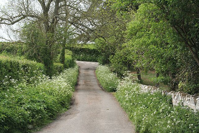 Pitney: link lane By Manor Farm and near Middlefield Road, this lane connects two others which run roughly parallel, NW-SE