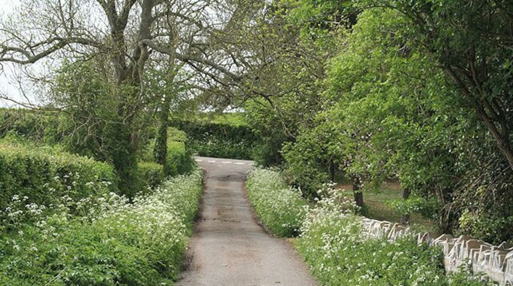Pitney: link lane By Manor Farm and near Middlefield Road, this lane connects two others which run roughly parallel, NW-SE