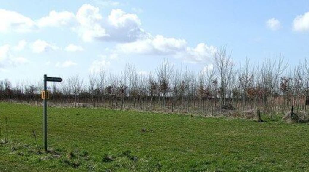 Footpath and brick outbuildings. The footpath sign here sports a yellow "H" hydrant sign - obviously the most convenient place to put it. There are a couple of brick outbuilding lurking behind this spinney opposite 370521.