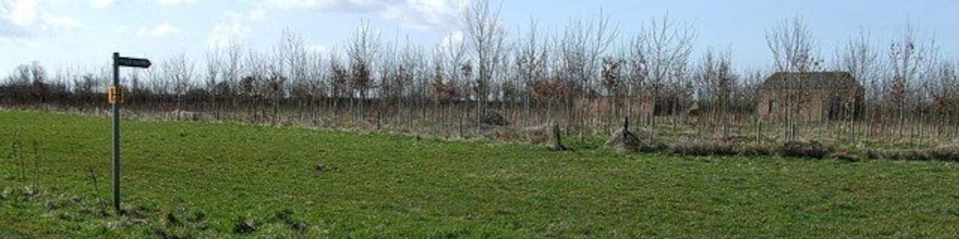 Footpath and brick outbuildings. The footpath sign here sports a yellow "H" hydrant sign - obviously the most convenient place to put it. There are a couple of brick outbuilding lurking behind this spinney opposite 370521.