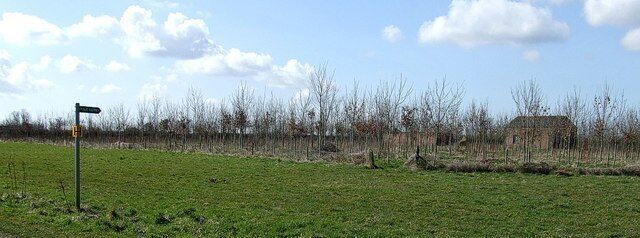 A rural landscape with a green field, a directional signpost, leafless trees, and a small building in the distance.