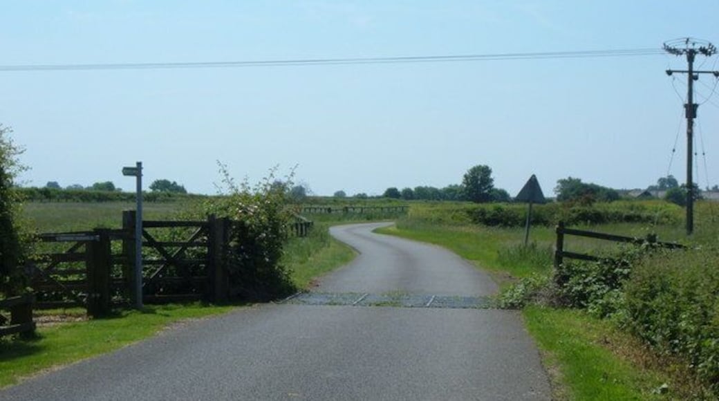Cattle Grid One of the many cattle grids in the area, this one is located on the way to Potsgrove from the Woburn - Hockliffe Road (A4012, London Road)