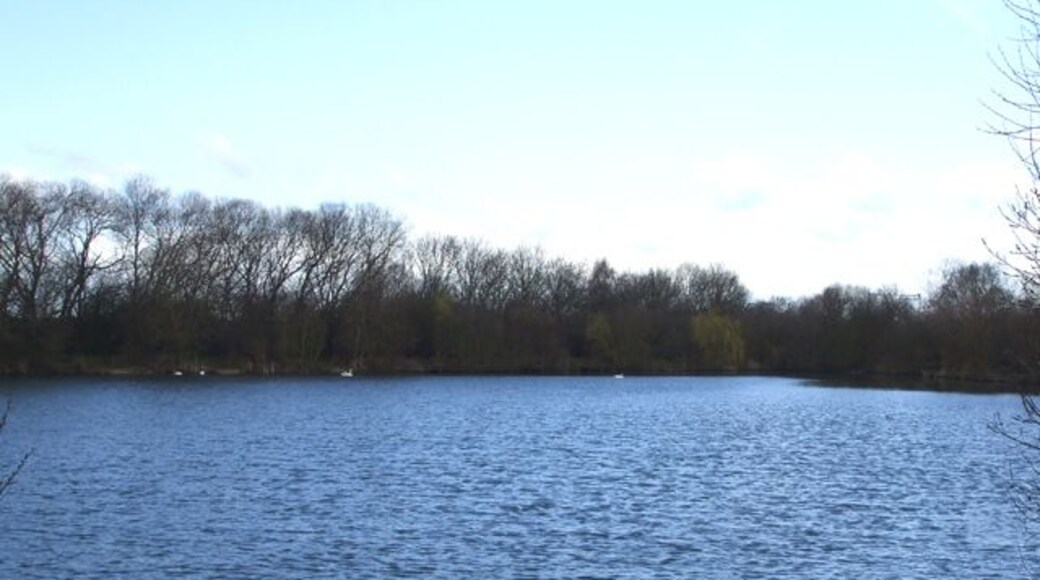 Reservoir, Fishing Lake This Reservoir is a fishing lake. The white dots are Swans.