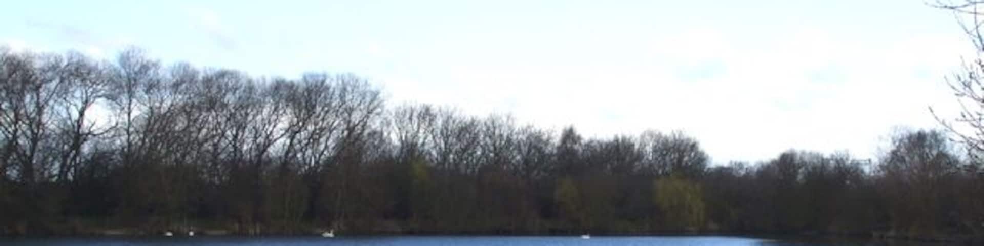 Reservoir, Fishing Lake This Reservoir is a fishing lake. The white dots are Swans.