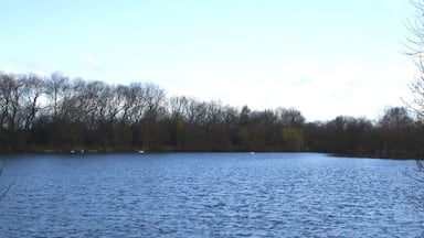 A calm lake with a forested shoreline.