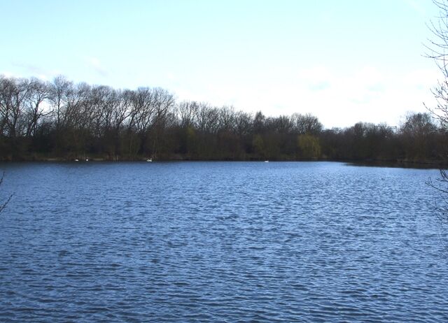A calm lake with a forested shoreline.