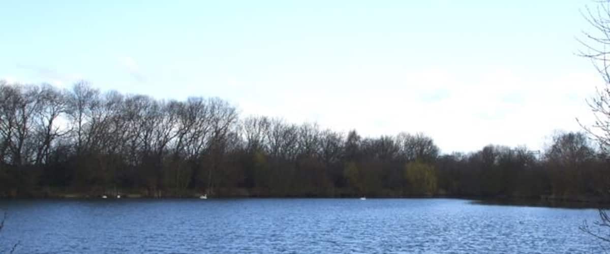 A calm lake with a forested shoreline.