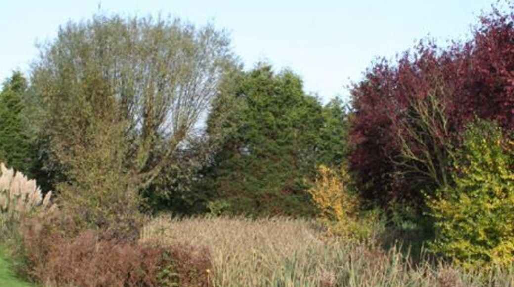 Moat at The Chichester Hotel This is part of the Moat shown on the map at The Chichester Hotel. It is accessible from the Car Park.