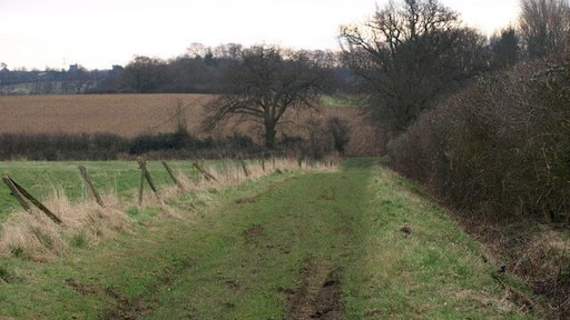 Damp under foot Bridleway heading away from Beckerings Park Farm
