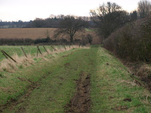 A rural path with grass and a fence on one side, surrounded by fields and trees.