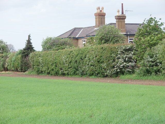 Farmhouse Bedfordshire Farmhouse, behind the hedge.