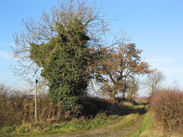 Bridleway off Wymondham - South Witham road.