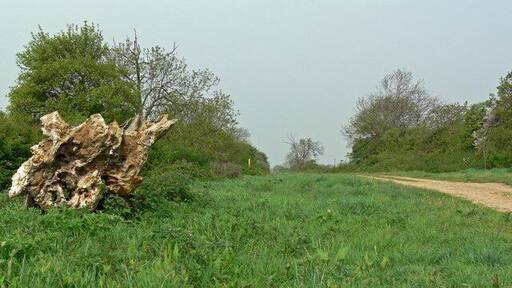 The Viking Way Long Distance Footpath At this point the 147 miles long footpath is close to the Leicestershire village of Sewstern.