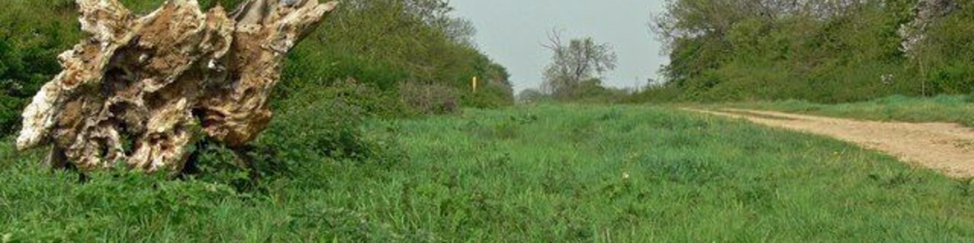 The Viking Way Long Distance Footpath At this point the 147 miles long footpath is close to the Leicestershire village of Sewstern.