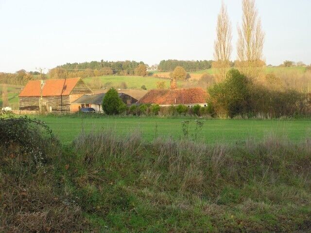 Oak Farm near Thorington Street