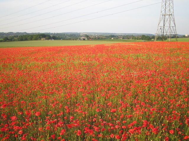Between Steppingley and Flitwick from near John Bunyan trail, near to Steppingley, Bedfordshire, Great Britain. Steppingley road in the distance; electric pylon gives a link to the OS map; white building on right is part of Maulden Road industrial estate in Flitwick 11/6/06.