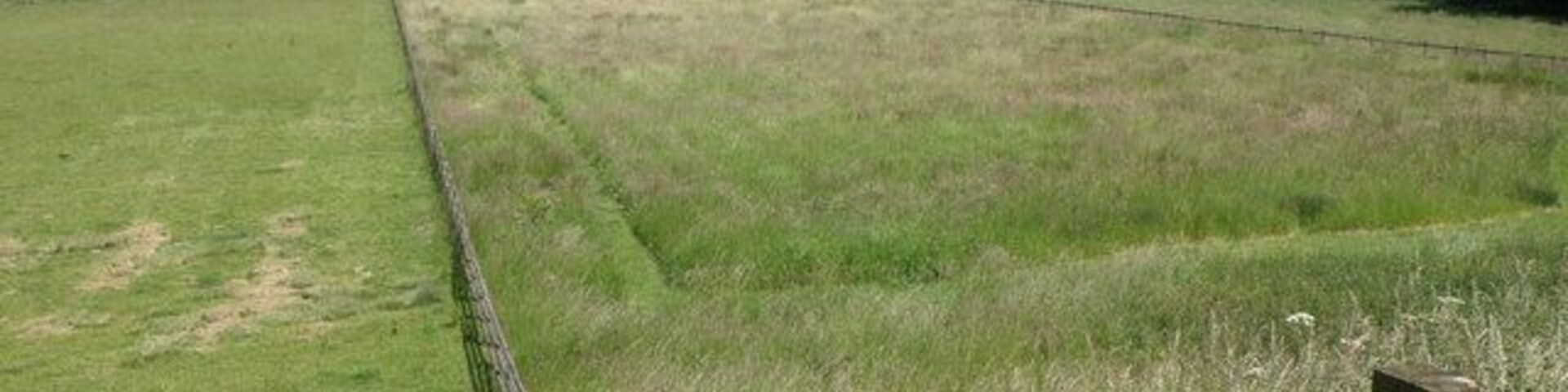 Un campo cercado con valla de madera, césped verde y árboles al fondo.