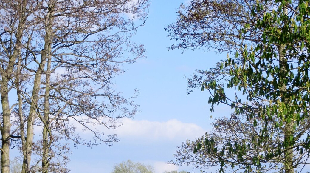 Bluebell Lakes from Perio Lock - April 2014