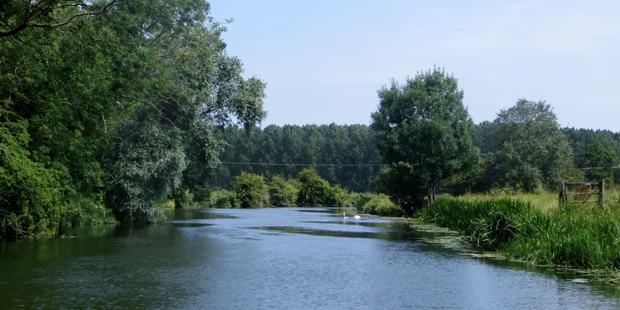 Heading down River towards Tansor - July 2014