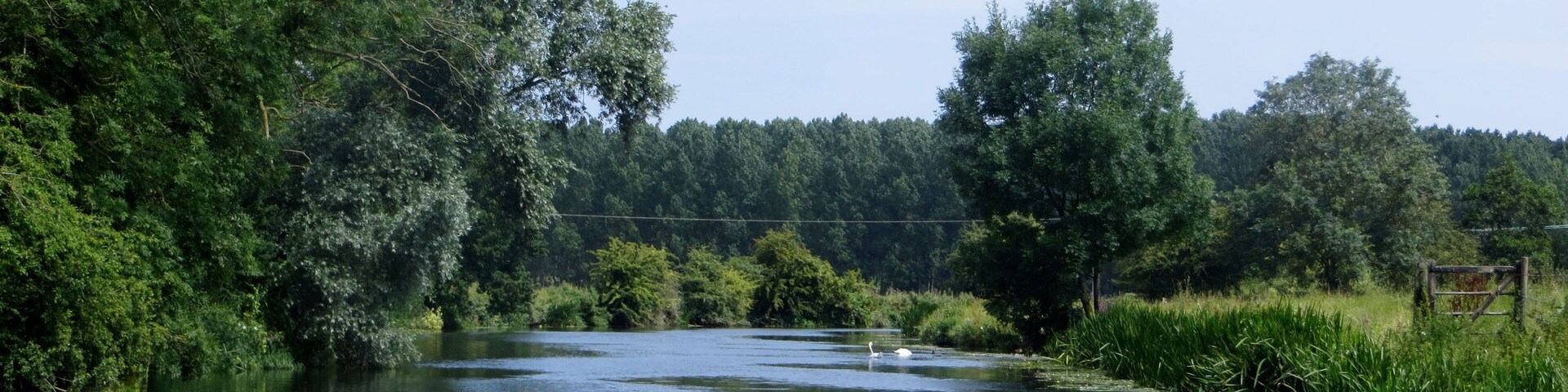 Heading down River towards Tansor - July 2014