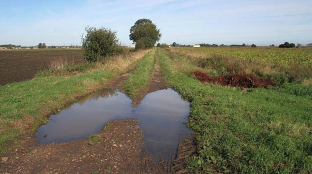 Short Drove, Thurlby Fen