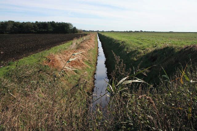 Pasture Drain in October. Compare this image to 523716 which was taken two months previously.