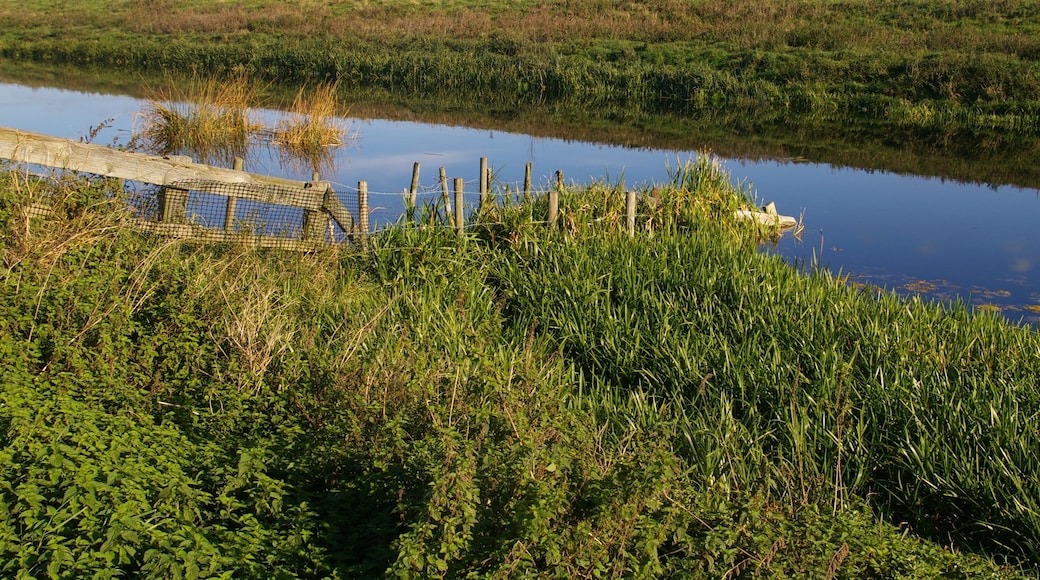 Underwater fence The banks of the Old Bedford River are used for grazing, so the fences have to go down into the water to stop livestock wading round the ends of them.