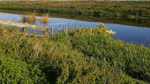 Underwater fence The banks of the Old Bedford River are used for grazing, so the fences have to go down into the water to stop livestock wading round the ends of them.