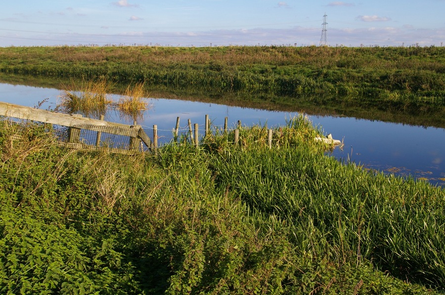 Underwater fence The banks of the Old Bedford River are used for grazing, so the fences have to go down into the water to stop livestock wading round the ends of them.