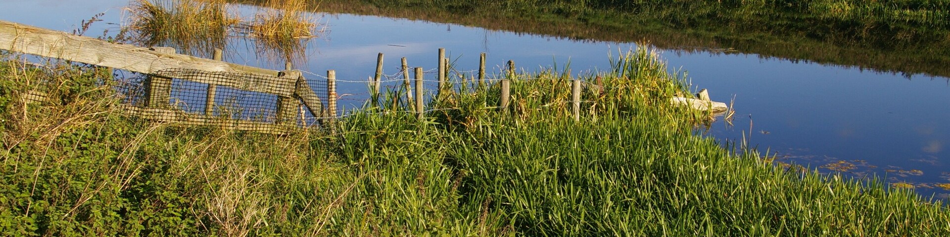 Underwater fence The banks of the Old Bedford River are used for grazing, so the fences have to go down into the water to stop livestock wading round the ends of them.